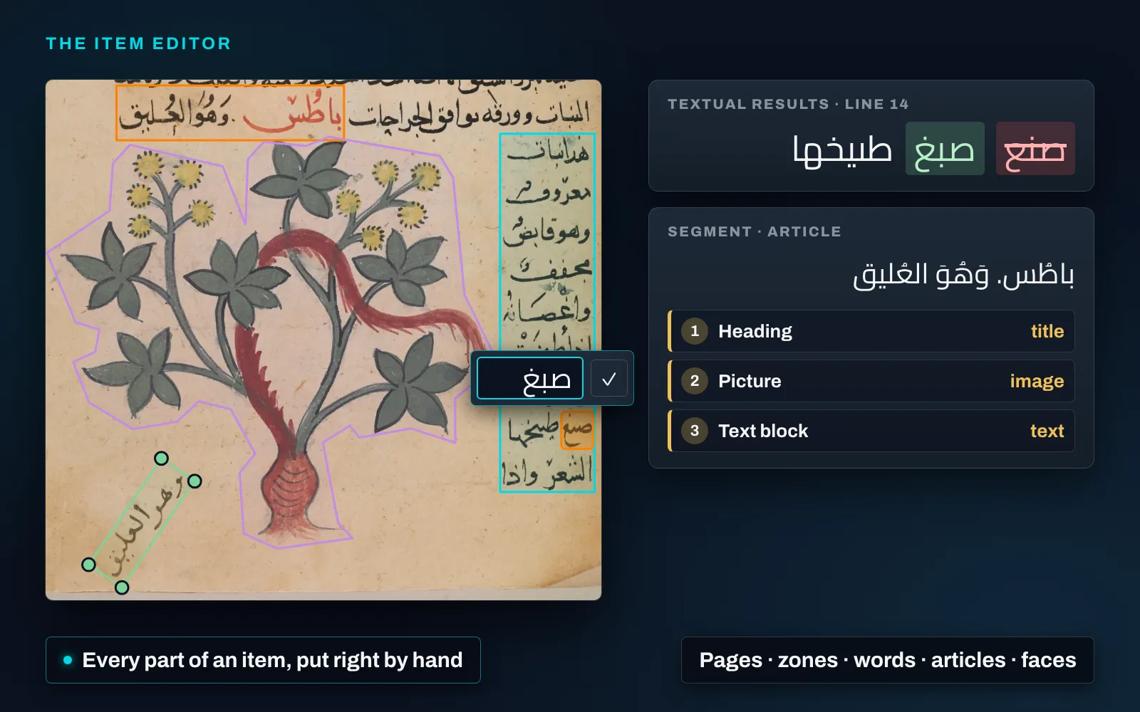 The lower half of a painted Arabic manuscript page with the editor at work on it: the rubricated heading outlined in orange, the painting of a bramble in violet, the narrow column of text beside it in cyan, and a note in the margin outlined in green by a slanted box with four points. One word of the column is tinted orange, with a text box open over it holding its corrected spelling. Beside the page, the line's textual results show the old word struck through in red and the new one in green, and a segment of type article lists the heading as title, the picture as image and the text block as text; two chips read “Every part of an item, put right by hand” and “Pages · zones · words · articles · faces”.