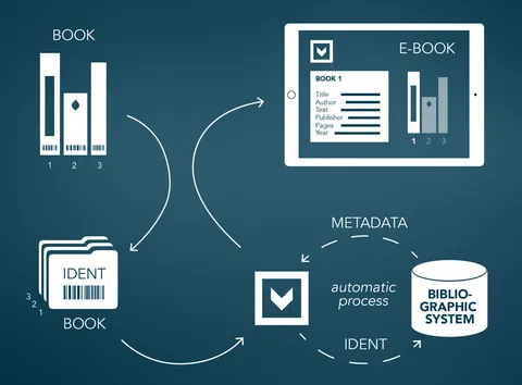 Supporting graphics, created for MediaINFO Digital Library