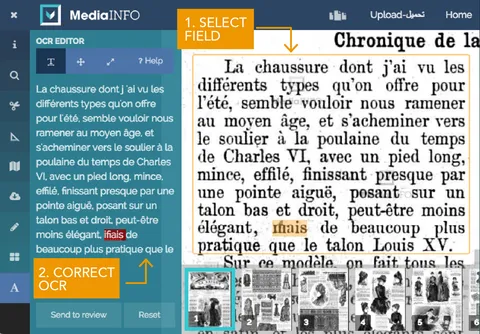 Supporting graphics, created for MediaINFO Digital Library