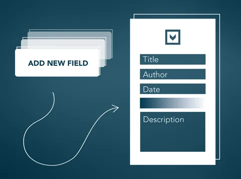 Supporting graphics, created for MediaINFO Digital Library