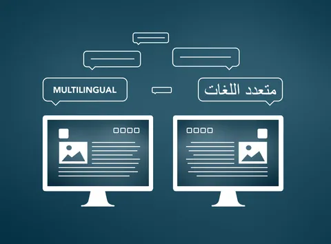 Supporting graphics, created for MediaINFO Digital Library